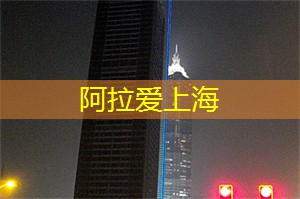 上海新茶工作室：品味天地间的万物真谛，体验饮茶的新发现！