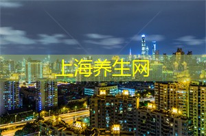 夜晚的东方明珠：上海必游地标